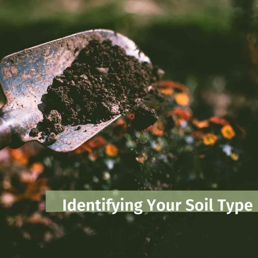 How Well Do You Know Your Soil