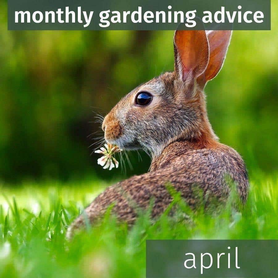 April Gardening Advice