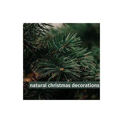 Natural Christmas Decorations 