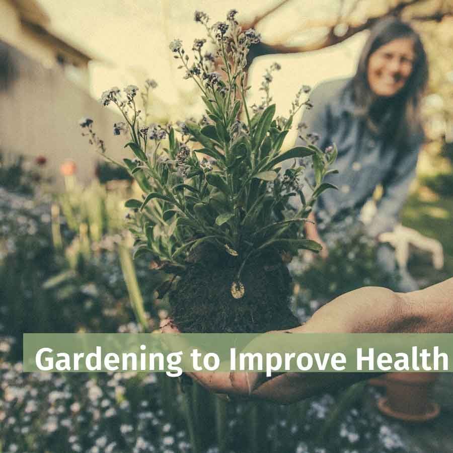 Get into Gardening to Improve Your Health