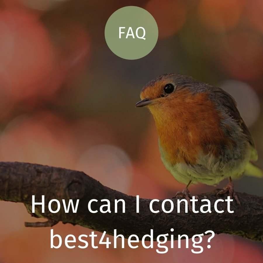 How can I contact best4hedging?