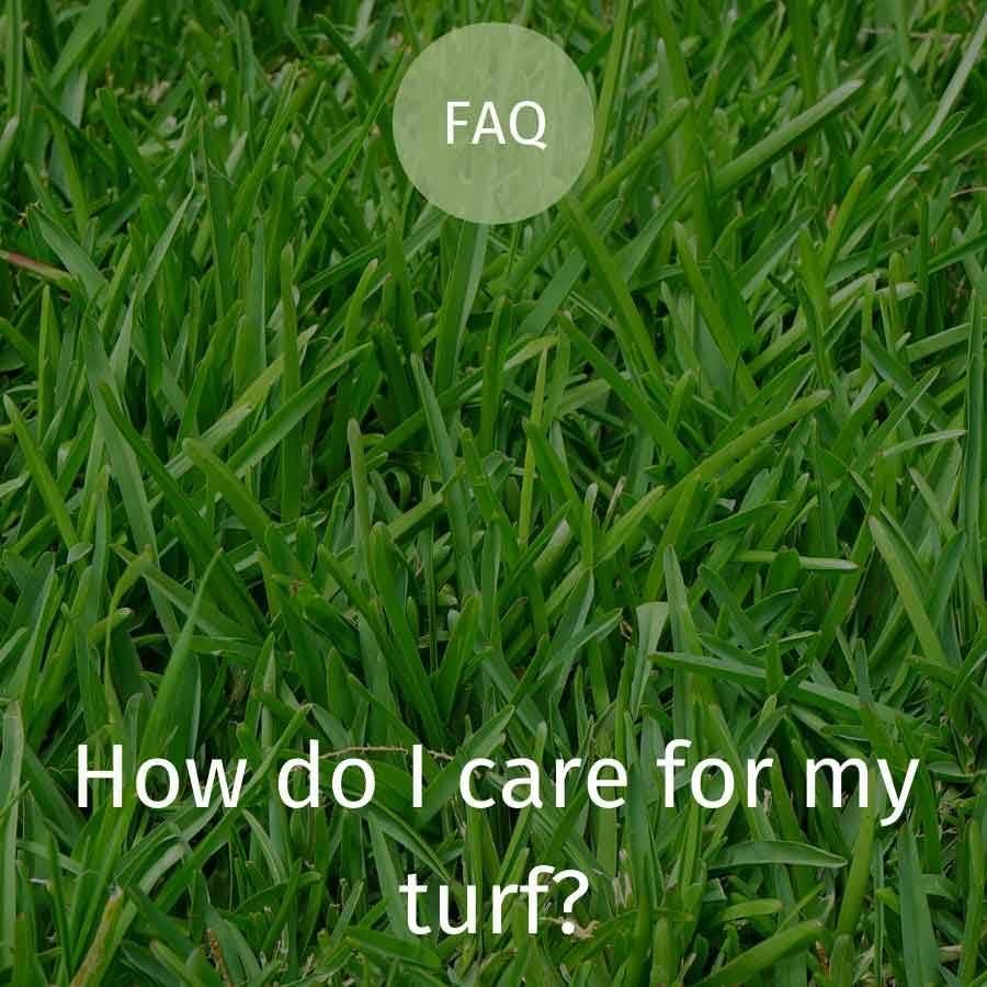 Turf Aftercare