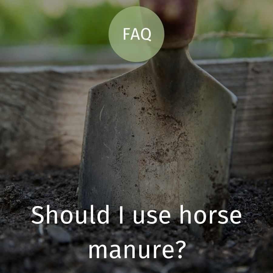 Should I use horse manure?