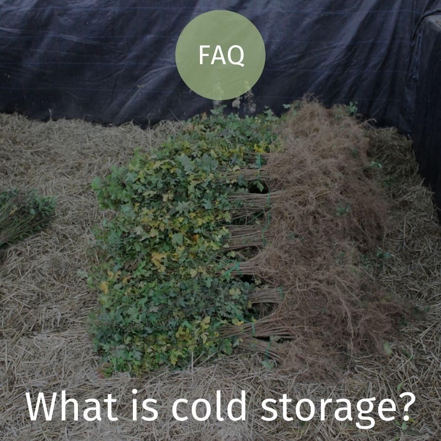 What is cold storage?