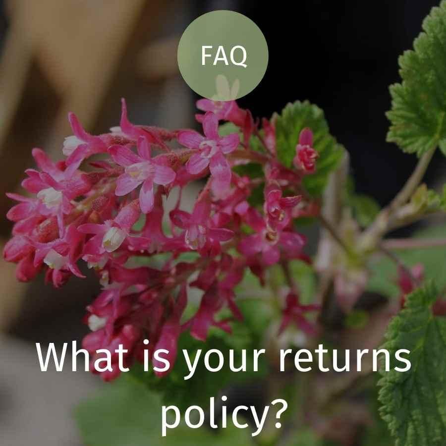 What is your returns policy?