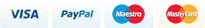 payment icon